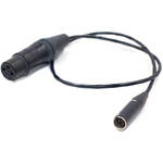 DigitalFoto Solution Limited 3-Pin Mini-XLR Male to XLR Female Cable for Blackmagic Pocket Cinema Camera 6K/4K (1.6') for the Blackmagic PYXIS 12K