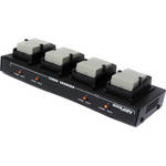 Dolgin Engineering TC40 Four Position Battery Charger for Canon LP-E8 Batteries for the Canon 700D