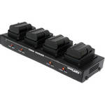 Dolgin Engineering TC40 Four Position Battery Charger for Nikon EN-EL15 Batteries for the Nikon D800