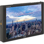 Elvid FieldVision 10.1