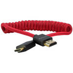 Kondor Blue Coiled Mini-HDMI to HDMI Cable (12 to 24