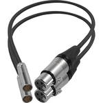 Kondor Blue Mini-XLR Male to XLR Female Audio Cable for Canon C70 & BMPCC 6K/4K (Black, 2-Pack) for the Blackmagic 6K Pro