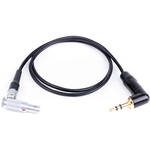 MID49 5-Pin 00 to Stereo 3.5mm Male Cable (18