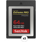 SanDisk 64GB Extreme PRO CFexpress Card Type B (3-Pack) for the Panasonic S1