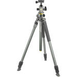 Vanguard Alta Pro 2+ 263AB100 Aluminum-Alloy Tripod Kit with Alta BH-100 Ball Head for the Canon R1