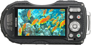 Ricoh WG-4 GPS back view and LCD 