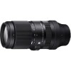 Sigma 100-400mm F5-6.3 OS