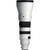 Sigma 300-600mm f4