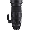 Sigma 60-600mm F4.5-6.3 DG DN