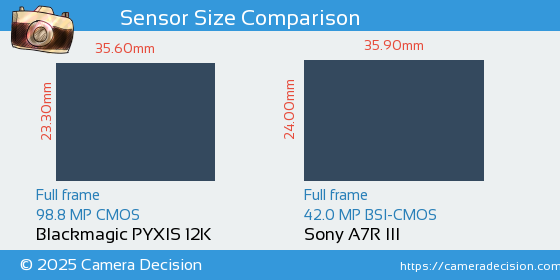 Blackmagic PYXIS 12K vs Sony A7R III Sensor Size Comparison