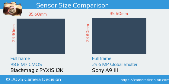 Blackmagic PYXIS 12K vs Sony A9 III Sensor Size Comparison