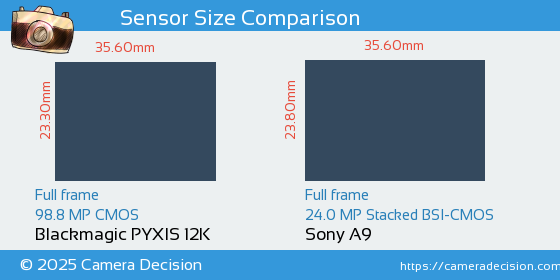 Blackmagic PYXIS 12K vs Sony A9 Sensor Size Comparison
