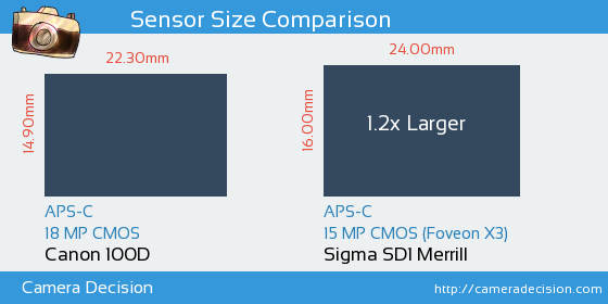 Canon 100D vs Sigma SD1 Merrill Sensor Size Comparison