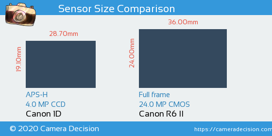 Canon 1D vs Canon R6 II Sensor Size Comparison