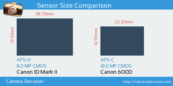 Canon 1D MII vs Canon 600D Sensor Size Comparison