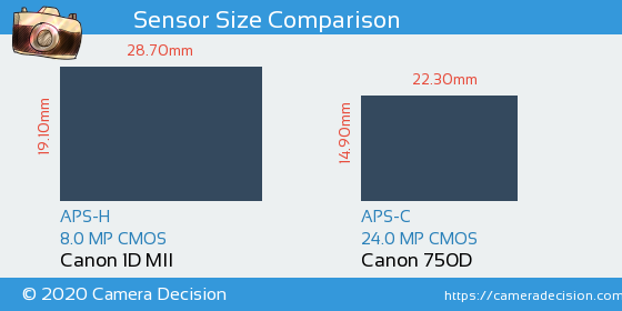 Canon 1D MII vs Canon 750D Sensor Size Comparison