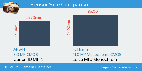 Canon 1D MII N vs Leica M10 Monochrom Sensor Size Comparison