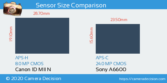 Canon 1D MII N vs Sony A6600 Sensor Size Comparison