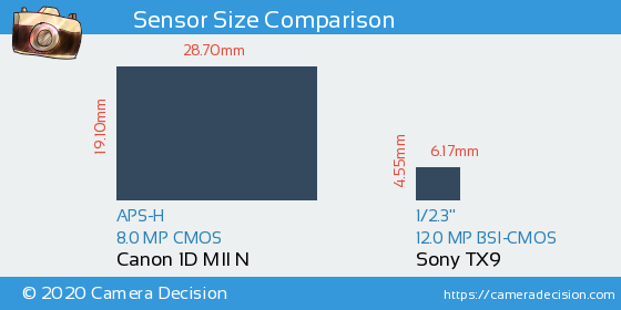 Canon 1D MII N vs Sony TX9 Sensor Size Comparison