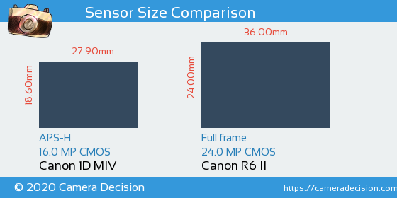 Canon 1D MIV vs Canon R6 II Sensor Size Comparison