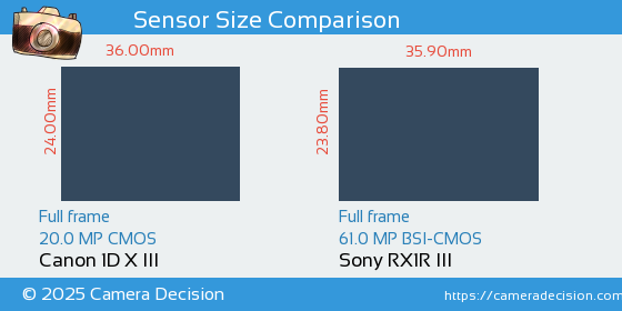 Canon 1D X III vs Sony RX1R III Sensor Size Comparison
