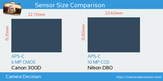 Canon 300D vs Nikon D80 Sensor Size Comparison