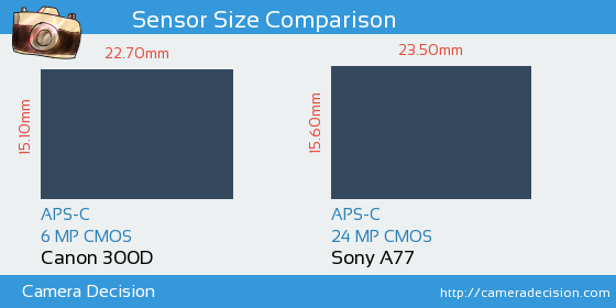 Canon 300D vs Sony A77 Sensor Size Comparison