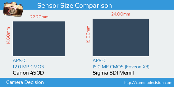 Canon 450D vs Sigma SD1 Merrill Sensor Size Comparison