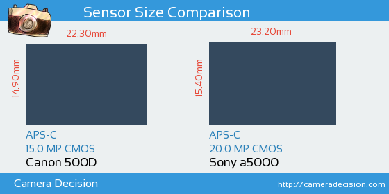 Canon 500D vs Sony a5000 Sensor Size Comparison