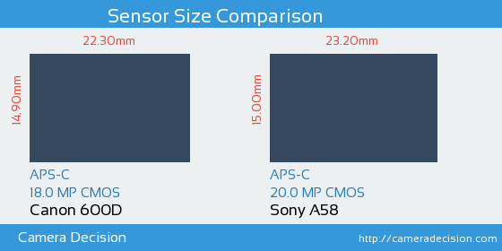 Canon 600D vs Sony A58 Sensor Size Comparison