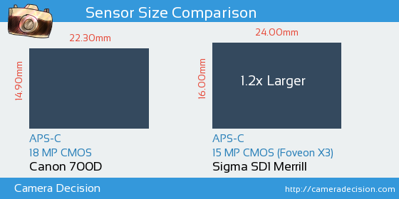 Canon 700D vs Sigma SD1 Merrill Sensor Size Comparison