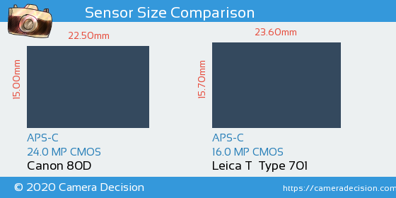 Canon 80D vs Leica T  Typ 701 Sensor Size Comparison