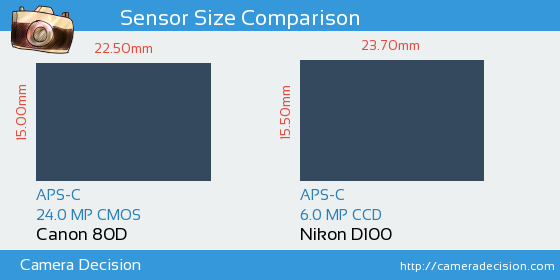 Canon 80D vs Nikon D100 Sensor Size Comparison