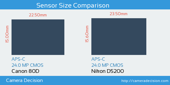 Canon 80D vs Nikon D5200 Sensor Size Comparison