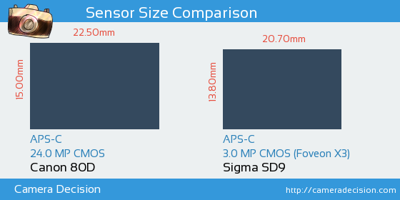 Canon 80D vs Sigma SD9 Sensor Size Comparison