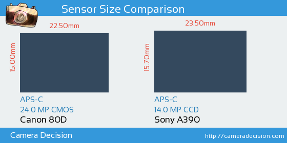 Canon 80D vs Sony A390 Sensor Size Comparison