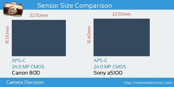 Canon 80D vs Sony a5100 Sensor Size Comparison