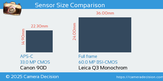 Canon 90D vs Leica Q3 Monochrom Sensor Size Comparison
