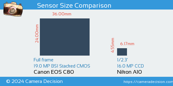 Canon EOS C80 vs Nikon A10 Sensor Size Comparison