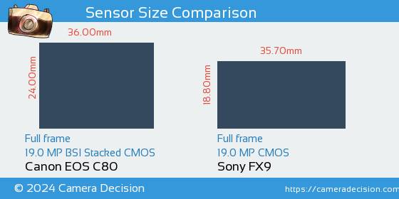 Canon EOS C80 vs Sony FX9 Sensor Size Comparison