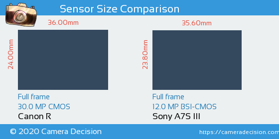 Canon R vs Sony A7S III Sensor Size Comparison