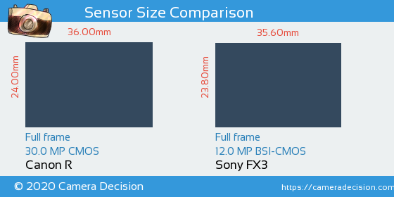 Canon R vs Sony FX3 Sensor Size Comparison