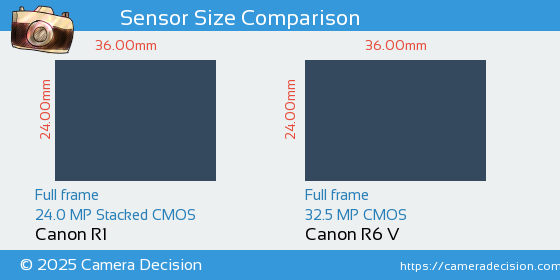 Canon R1 vs Canon R6 V Sensor Size Comparison