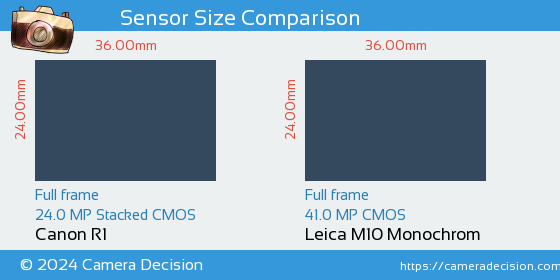 Canon R1 vs Leica M10 Monochrom Sensor Size Comparison