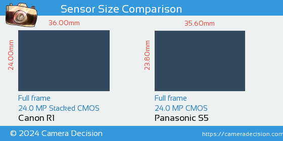 Canon R1 vs Panasonic S5 Sensor Size Comparison