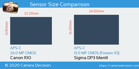 Canon R10 vs Sigma DP3 Merrill Sensor Size Comparison