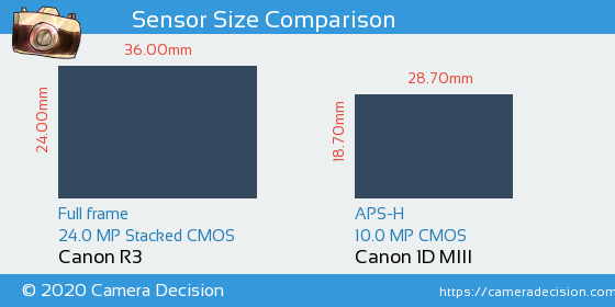 Canon R3 vs Canon 1D MIII Sensor Size Comparison
