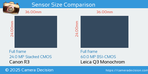 Canon R3 vs Leica Q3 Monochrom Sensor Size Comparison