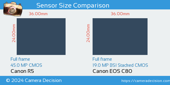 Canon R5 vs Canon EOS C80 Sensor Size Comparison