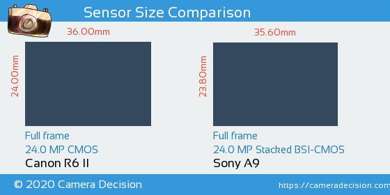 Canon R6 II vs Sony A9 Sensor Size Comparison